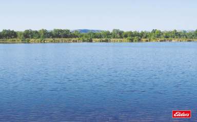 Farm For Sale - WA - Kununurra - 6743 - Established Irrigation Property, Ord River, Kununurra  (Image 2)