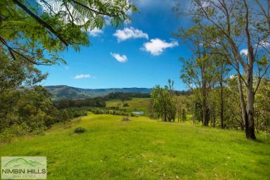 Farm Sold - NSW - Georgica - 2480 - Private Country Home Or Weekender  (Image 2)
