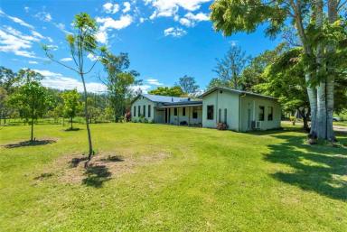 Farm For Sale - NSW - Kyogle - 2474 - LIFESTYLE RETREAT WITH INCOME  (Image 2)