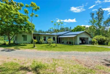 Farm For Sale - NSW - Kyogle - 2474 - LIFESTYLE RETREAT WITH INCOME  (Image 2)