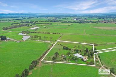 Farm For Sale - VIC - Maffra - 3860 - OFI Saturday July 29th 11am 
Perfect for the family lifestyle  (Image 2)