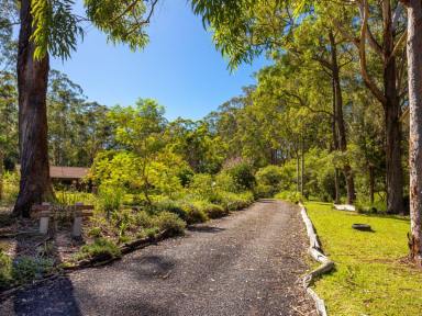 Farm Sold - NSW - Mitchells Island - 2430 - WELCOME TO 'SUNSET WOODS'  (Image 2)
