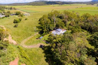 Farm Sold - QLD - Balnagowan - 4740 - Family moving on .............  (Image 2)