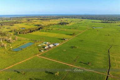Farm Sold - NSW - Oxley Island - 2430 - 'WILLAREE DAIRY'  (Image 2)