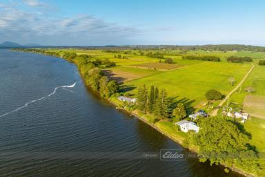 Farm For Sale - NSW - Oxley Island - 2430 - 'FERNLEIGH' | ABSOLUTE MANNING RIVER FRONTAGE!  (Image 2)