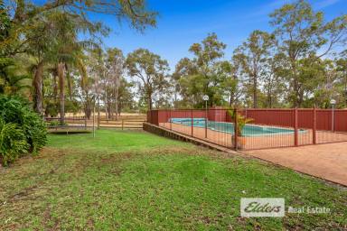 Farm Sold - WA - Dardanup West - 6236 - PEACEFUL LIVING IN DARDANUP WEST  (Image 2)