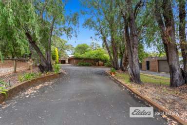 Farm Sold - WA - Dardanup West - 6236 - PEACEFUL LIVING IN DARDANUP WEST  (Image 2)