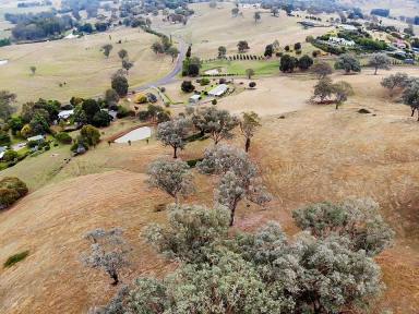 Farm Sold - NSW - Tumut - 2720 - Nothing more you could ask for  (Image 2)
