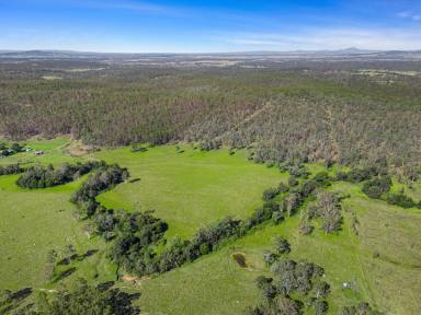 Farm Sold - QLD - Grandchester - 4340 - "Cottonvale"    Weekender or Lifestyle Retreat, The choice is yours!  (Image 2)