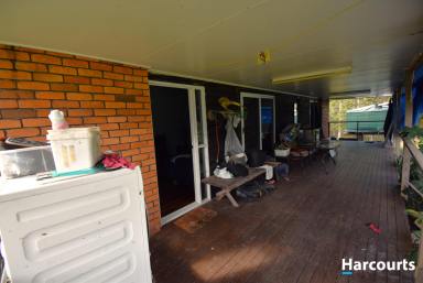 Farm Sold - QLD - Apple Tree Creek - 4660 - A HOME AMONGST THE GUM TREES  (Image 2)