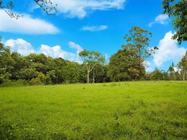 Farm Sold - QLD - Witta - 4552 - SOLD BY JESS LUTHJE  (Image 2)