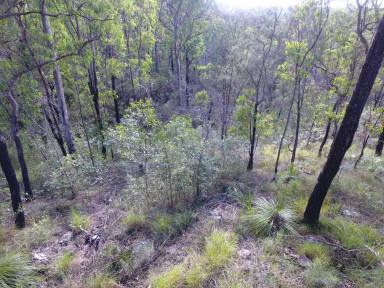 Farm For Sale - NSW - Busbys Flat - 2469 - PARADISE UNLOCKED - 1600ACRES  (Image 2)