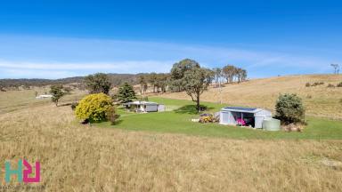 Farm Sold - NSW - Sodwalls - 2790 - Charming Country Homestead On Acreage  (Image 2)