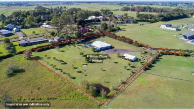 Farm Sold - NSW - Hinton - 2321 - The Lifestyle You’ve Been Dreaming of  (Image 2)