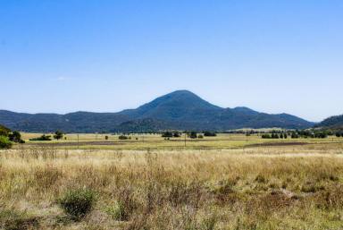 Farm Sold - NSW - Baerami - 2333 - An ideal blank canvas to set up your own small farm or rural getaway. Set on 40 hectares or 100Ac Freehold of grazing country  (Image 2)