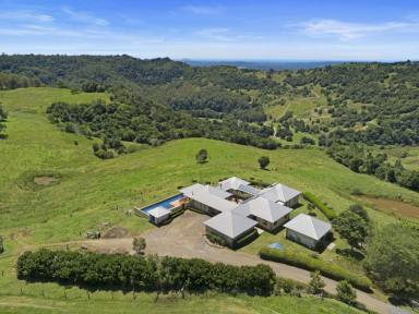 Farm For Sale - QLD - North Maleny - 4552 - 42+ Acres North Facing with views in all directions  (Image 2)
