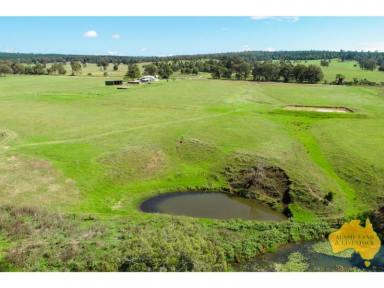 Farm Sold - QLD - Yarraman - 4614 - COUNTRY LIVING CLOSE TO TOWN  (Image 2)