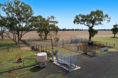 Farm Sold - NSW - Gilgandra - 2827 - Prime Mixed Farming Property  (Image 2)