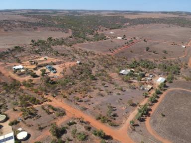 Farm Sold - WA - Isseka - 6535 - Endless character, tranquil surrounds & numerous practical features  (Image 2)