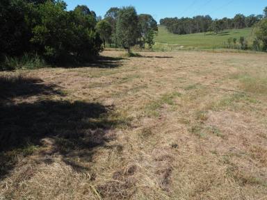Farm Sold - QLD - Pie Creek - 4570 - 5 ACRES CLOSE TO TOWN  (Image 2)