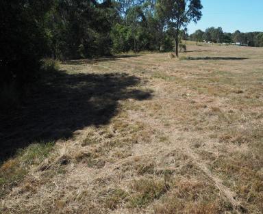 Farm Sold - QLD - Pie Creek - 4570 - 5 ACRES CLOSE TO TOWN  (Image 2)