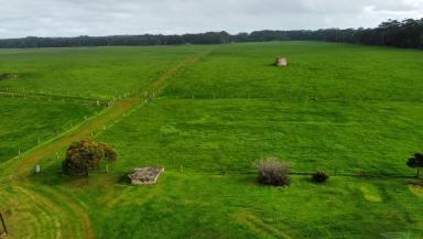 Farm For Sale - WA - Forest Grove - 6286 - BROOKLANDS, Forest Grove WA 6286  (Image 2)