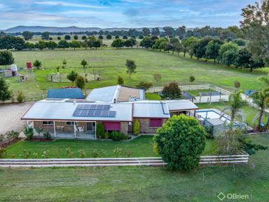 Farm Sold - VIC - Oxley - 3678 - Desirable Equine Property  (Image 2)