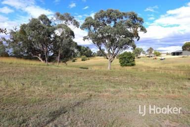 Farm For Sale - NSW - Inverell - 2360 - HECTARE BLOCK WITH CHARACTER  (Image 2)