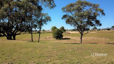 Farm For Sale - NSW - Inverell - 2360 - HECTARE BLOCK WITH CHARACTER  (Image 2)