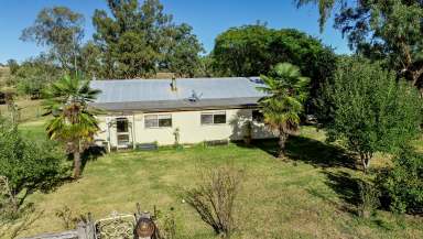 Farm Sold - NSW - Wellington - 2820 - Quality Lifestyle Country With Excellent Water  (Image 2)