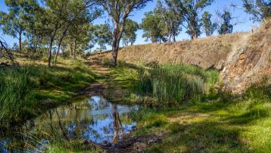 Farm Sold - NSW - Wellington - 2820 - Quality Lifestyle Country With Excellent Water  (Image 2)