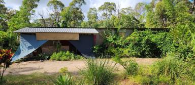 Farm Sold - QLD - Ellerbeck - 4816 - Seeking seclusion? This rural block is the ideal bush retreat - converted container & bathroom  (Image 2)