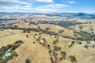 Farm For Sale - VIC - Mansfield - 3722 - THE VIEWS AT HUGHENDEN  (Image 2)