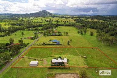 Farm Sold - NSW - Wingham - 2429 - ENJOY A BIG LIFESTLYE ON SMALL ACRES  (Image 2)