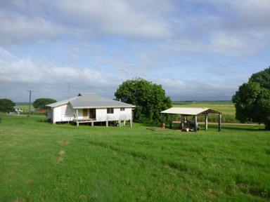 Farm Sold - QLD - Blackrock - 4850 - RURAL PROPERTY - MINUTES FROM TOWN!  (Image 2)