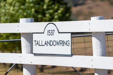Farm Sold - VIC - Gundowring - 3691 - "Tallandowring"  (Image 2)