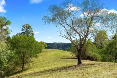 Farm Sold - QLD - Carters Ridge - 4563 - Sunsets Forever, Spectacular Views On Top Of The World, Dream Build Location  (Image 2)