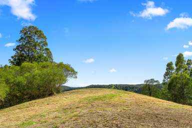 Farm Sold - QLD - Carters Ridge - 4563 - Sunsets Forever, Spectacular Views On Top Of The World, Dream Build Location  (Image 2)