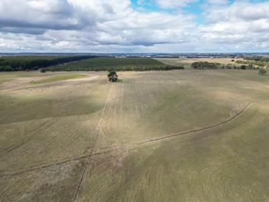 Farm Sold - VIC - Macarthur - 3286 - 315.51 Ac – 127.68 Ha  Expressions of Interest  (Image 2)