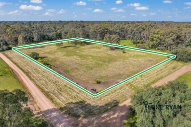 Farm Sold - VIC - Rochester - 3561 - 3 ACRES CAMPASPE RIVER FRONTAGE ON TOWNS EDGE  (Image 2)