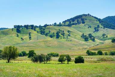 Farm For Sale - VIC - Tallangatta Valley - 3701 - Situated in the highly productive Tallangatta Valley  (Image 2)