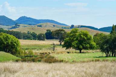 Farm For Sale - VIC - Tallangatta Valley - 3701 - Situated in the highly productive Tallangatta Valley  (Image 2)