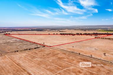 Farm Sold - WA - Yarloop - 6218 - Premium Grazing Land (Two Lots Sold Together)  (Image 2)
