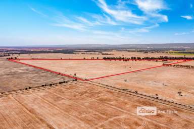 Farm Sold - WA - Yarloop - 6218 - Premium Grazing Land (Two Lots Sold Together)  (Image 2)