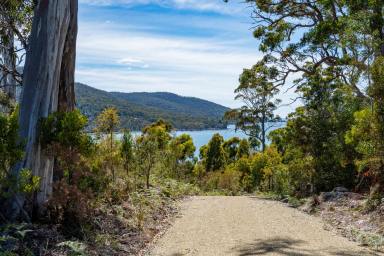 Farm For Sale - TAS - Eaglehawk Neck - 7179 - Spectacular 180 degrees of Waterview's and a sweeping 360 degrees of breathtaking coastal vista surrounds.  (Image 2)