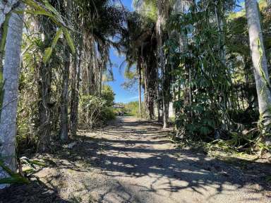 Farm Sold - QLD - Caboolture - 4510 - *****Spread Your Wings Here! 2Hectares - Horses will Love it and so will the KIDS*****  (Image 2)