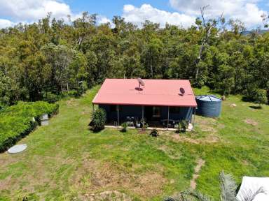 Farm Sold - QLD - Cooktown - 4895 - 2 Bedroom Home on 70 Acres  (Image 2)