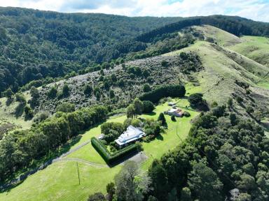 Farm For Sale - VIC - Apollo Bay - 3233 - JEWEL IN THE CROWN - AIRE VALLEY GUEST HOUSE  (Image 2)