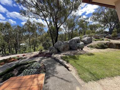 Farm Sold - QLD - Stanthorpe - 4380 - Your new Home amongst the gum trees  (Image 2)