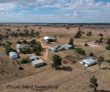 Collie NSW 2827